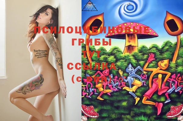 не бодяженный Верея