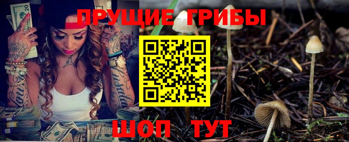 Псилоцибиновые грибы Cubensis Назарово